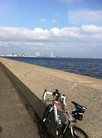 海浜公園